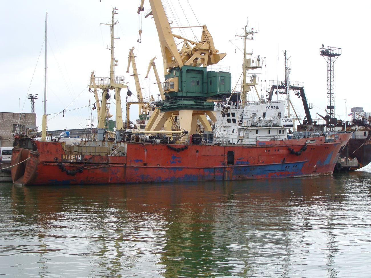 Kobrin Проект:503, тип Альпинист