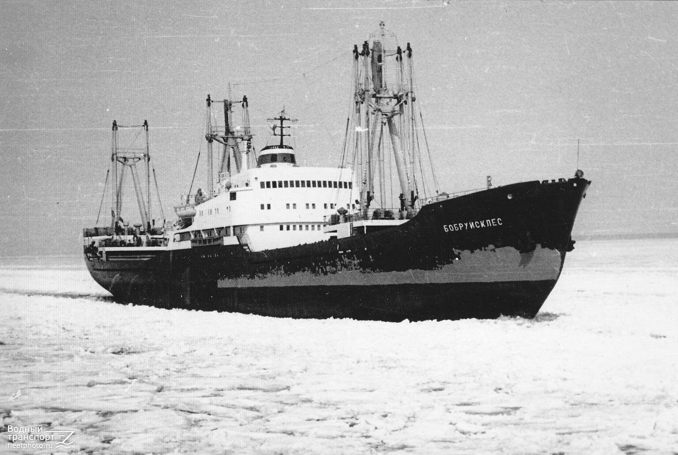 Бобруйсклес Тип:B-45 (ПНР)