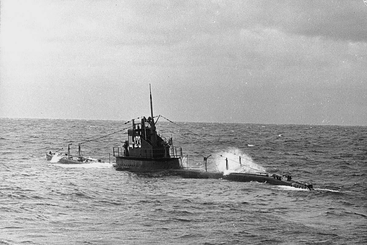 «Щ-123» («Угорь»)